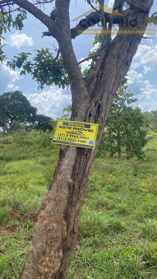 WhatsApp Image 2025-11-27 at 14.37.22.jpeg